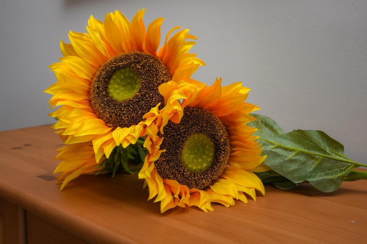 Desenzanoloft Official Partner Marriott Homes & Villas - The Sunflower Front Lake Desenzano del Garda Eksteriør bilde